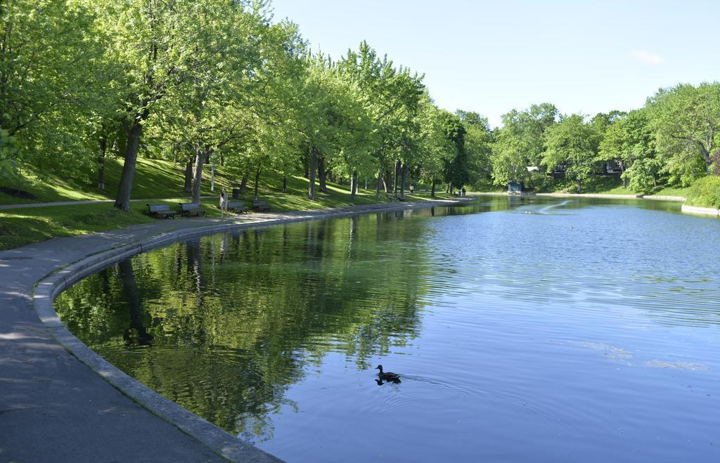 Auberge De La Fontaine Montréal Eksteriør bilde